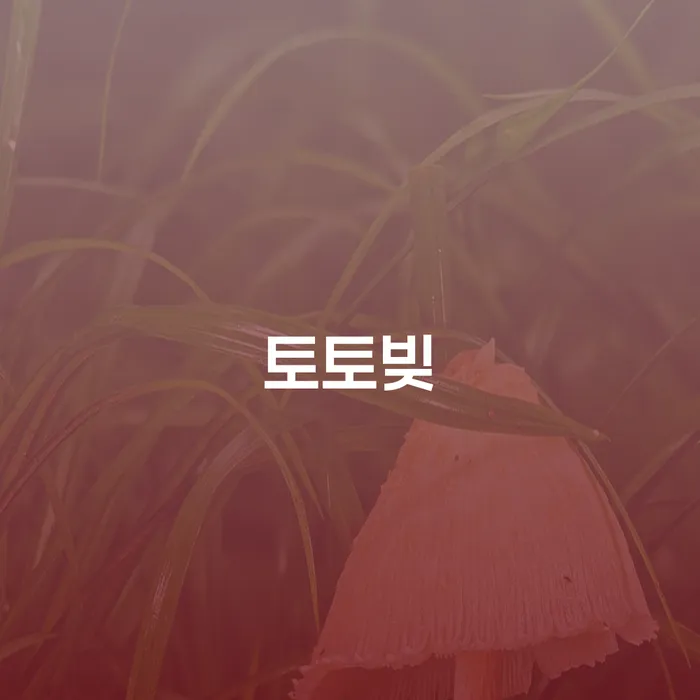 개인회생신청절차 개인파산 성공은