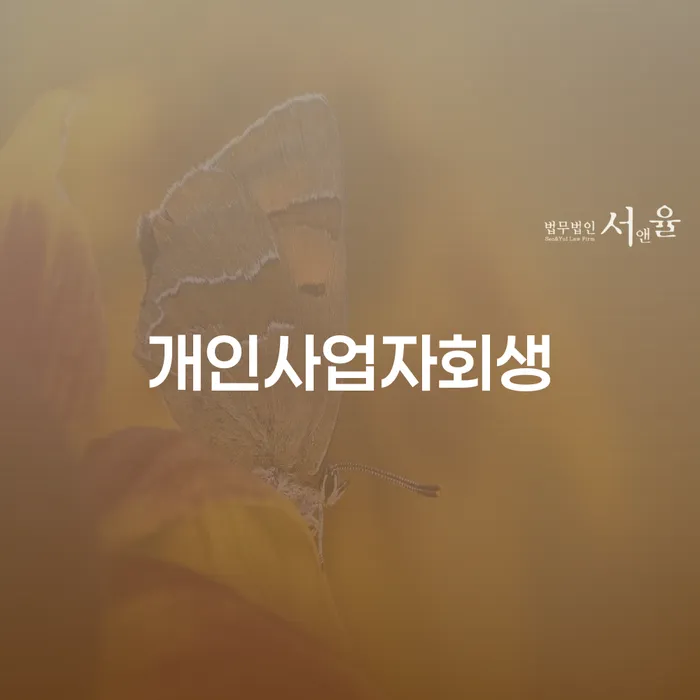 카드론연체 빚 해결할 잘신청하기