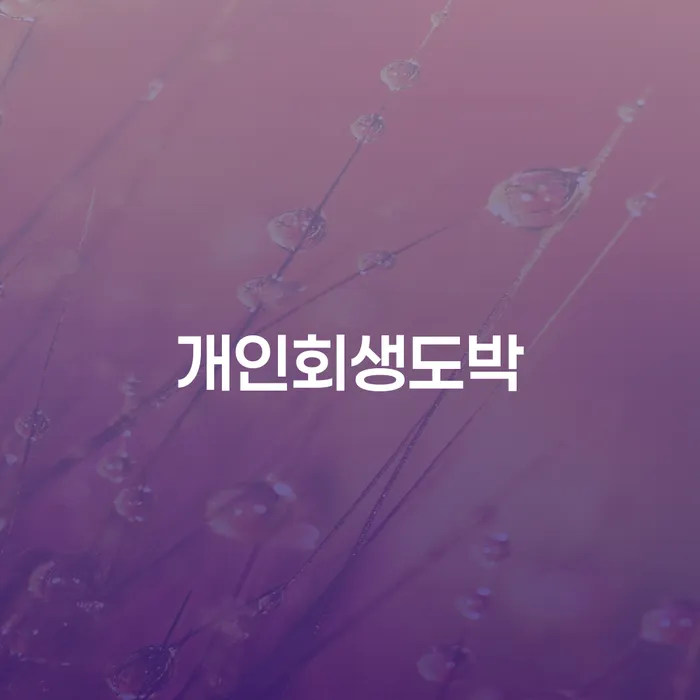 빚탕감 채무조정제도을 이용하여 판단을위해