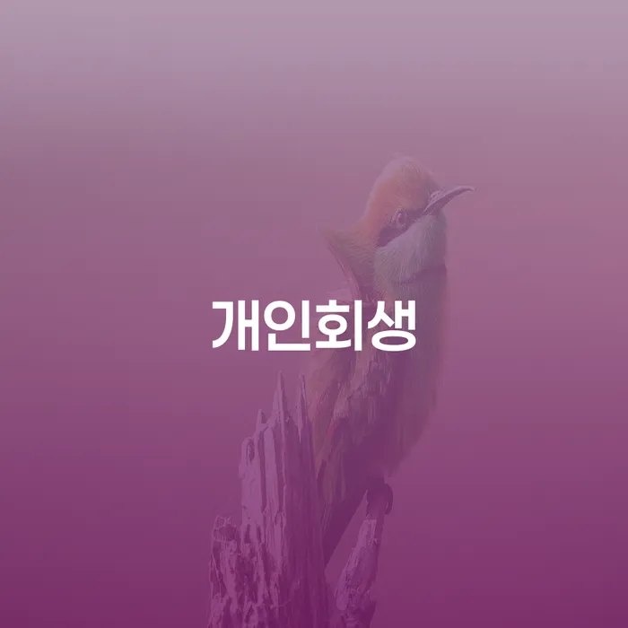 진천군 신용대출 연체 개인파산 알아보려면