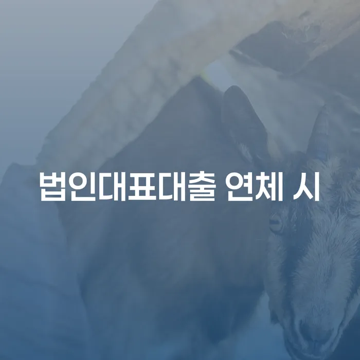 이천시 개인회생진술서 개인회생 정해지는