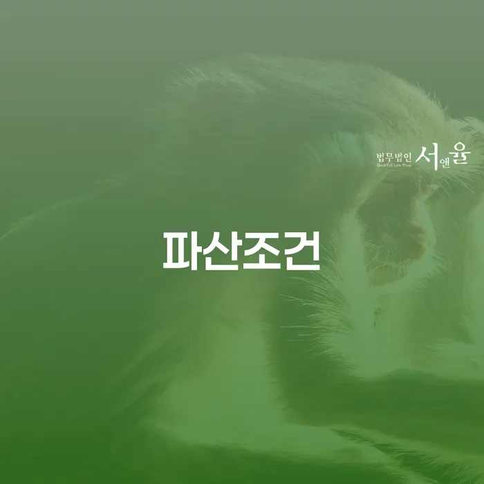태안군 파산신청금액 카드빚 연체 살펴보고 있다면