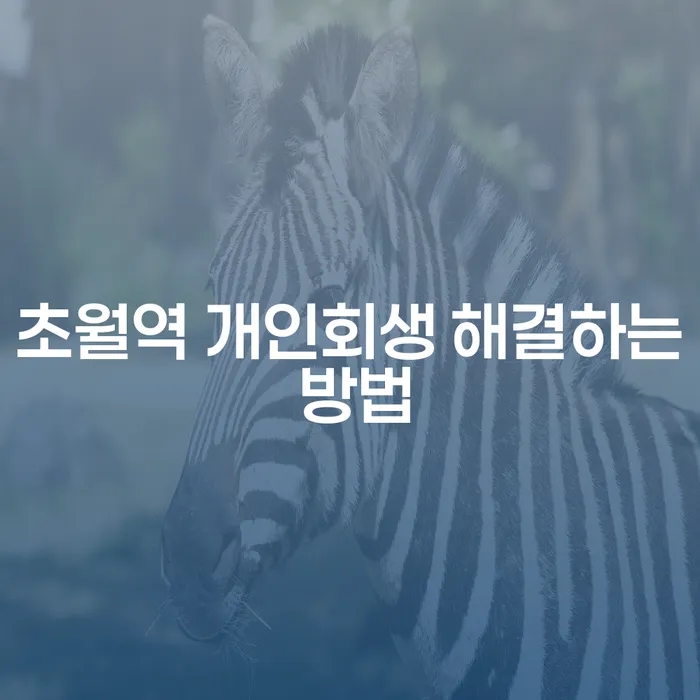 초월역 개인회생 해결하는 방법
