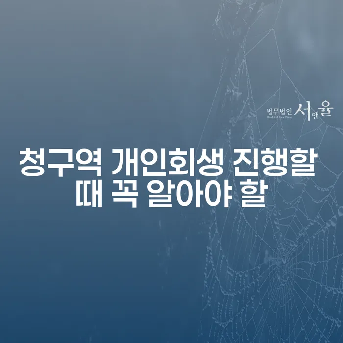 청구역 개인회생 진행할 때 꼭 알아야 할