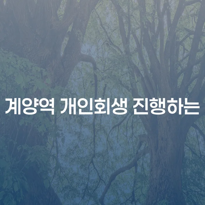 계양역 개인회생 진행하는