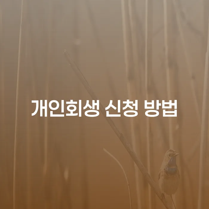 개인회생 신청 방법: 어떻게 시작해야 할까요?