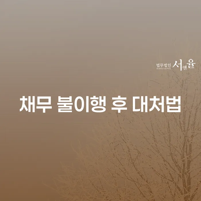 채무 불이행 후 어떻게 대처할 수 있을까요?