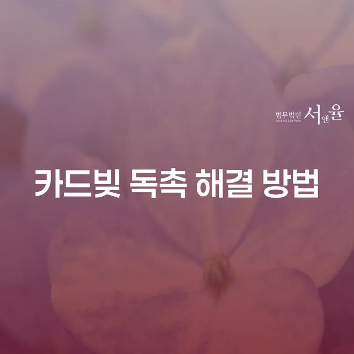 카드빚 독촉 해결 방법: 어떻게 벗어날 수 있을까요?