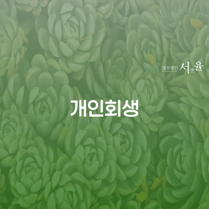송천동 개인회생 가이드