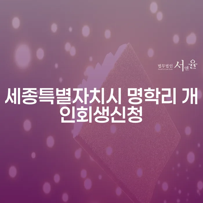 세종특별자치시 명학리 개인회생신청, 어떻게 해야 할까요?