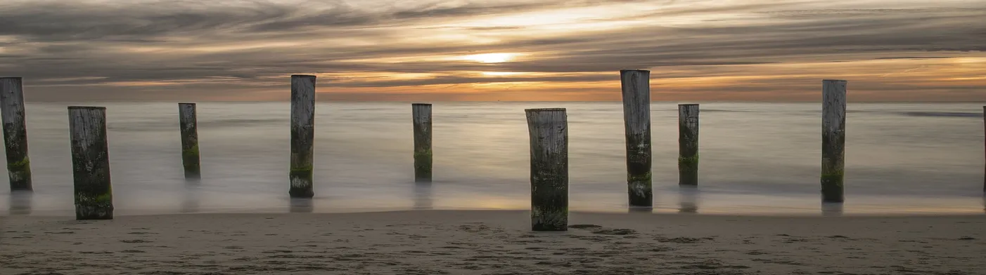 법무법인 서앤율